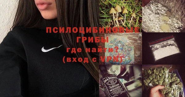 крисы Новокубанск