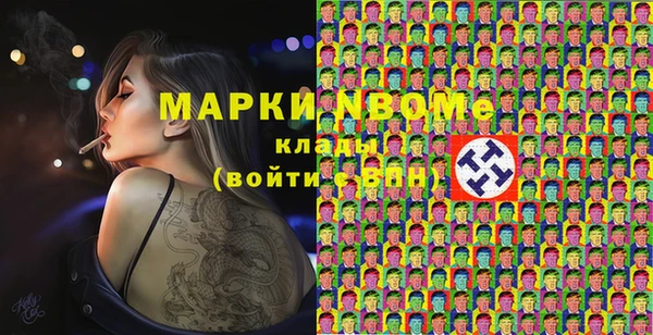крисы Новокубанск