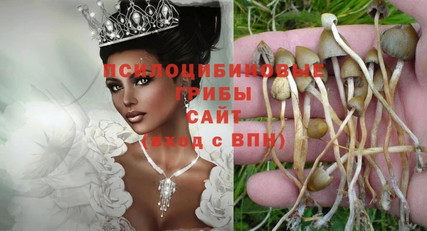 гидра Балабаново